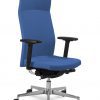 Mayer-vadovo-kėdė-darbu-ergonominė-biuro-darbo-mediko-kėdė