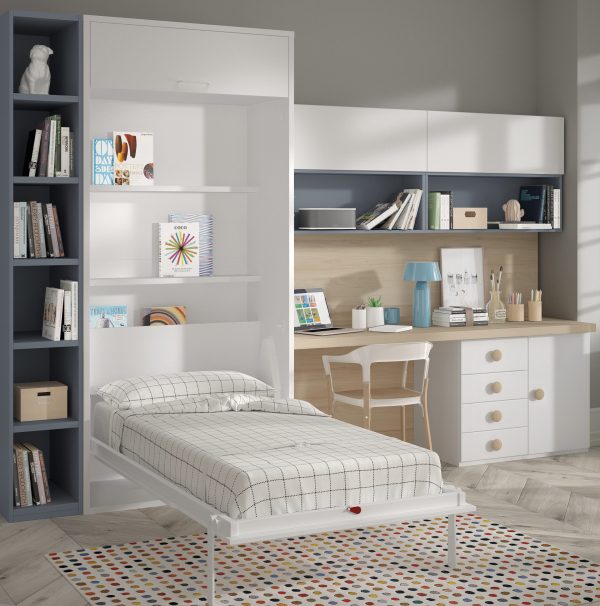 folding-wall-bed-for-study-for-a-young-man's-room